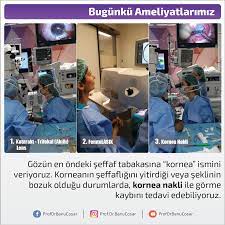 bilgiler panosundaki pin