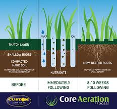 When water and oxygen can't reach the roots, grass can't grow. Do I Need To Aerate My Lawn