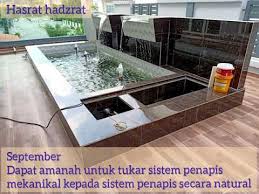 Sistem filter kolam koi sangat dibutuhkan bagi pemelihara ikan koi. Kolam Ikan Menggunakan Sistem Penapis Semulajadi Natural Youtube