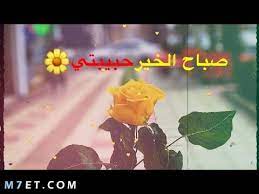 Check spelling or type a new query. ØµØ¨Ø§Ø­ Ø§Ù„Ø®ÙŠØ± Ø­Ø¨ÙŠØ¨ØªÙŠ Ø§Ù„ØºØ§Ù„ÙŠØ© Ø¹Ù„Ù‰ Ù‚Ù„Ø¨ÙŠ ÙˆÙ…ÙƒÙ†ÙˆÙ† Ø±ÙˆØ­ÙŠ