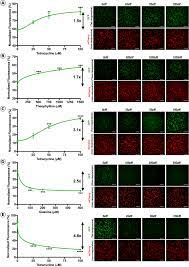 Moved temporarily the document has moved here. Development Of An Inducible Anti Vegf Raav Gene Therapy Strategy For The Treatment Of Wet Amd Scientific Reports