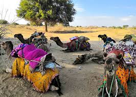 Check out updated best hotels & restaurants near sam sand dune. Sam Sand Dunes Jaisalmer Timings Entry Fee How To Reach
