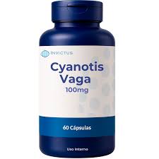 Image result for Cyanotis vaga