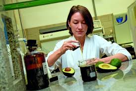 Rica em proteínas, aminoácidos, minerais e vitaminas a, b, c, d e e, o azeite de abacate é um excelente aliado ao cabelo, devido ao seu. Pesquisa Brasileira Comprova Que O Azeite De Abacate Combate O Colesterol Cotidiano A Critica Amazonia Amazonas Manaus