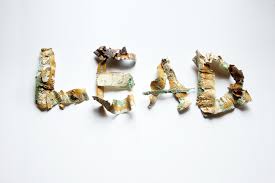 Image result for Lead Poisoning