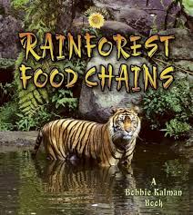 Pin By Antonio De Armas On Ecology | Rainforest Food Web, Food Web,  Ecosystems