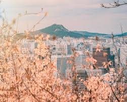 500 Seoul Pictures Download Free Images On Unsplash