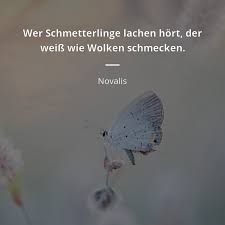 Der experte für leadership, trainer, . Zitate Uber Schmetterling 21 Zitate Zitate Beruhmter Personen
