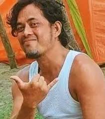 Is the FLOW Surf Skates Cruiser a good beginner surfboard?