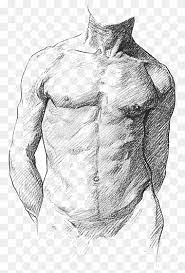 500x300 the digital art 101 sitemap male torso, anatomy and drawings. Anatomy Art Png Images Pngwing