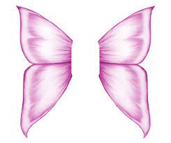 Fairy Wings Stock 2 By Glitterkitten83 D5v51w4 Png 1024 858 Workshop