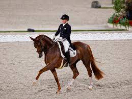 Kapp fünf wochen nach den olympischen spielen beginnen in hagen am teutoburger wald bereits die europameisterschaften der dressurreiter*innen und der altersklasse u25. B1p1itau3wwqem