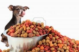 Even if you don't feed human food to your dog, they could accidentally eat a dangerous food. Artificial Coloring In Dog Food Luv My Dogs
