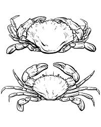 This will form the crab's body. 80 Off Sale Vector Crab Drawing Hand Drawn Outline Seafood Etsy In 2021 Crab Illustration Crab Tattoo Crab Art