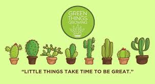 I would like to set it out in the. Green Things Growing Home Facebook