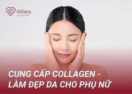 Cách chưng yến hạt chia