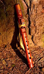 Pin By Martha Wightman On Native American Flute Native American Flute Native Flute Native American Fashion