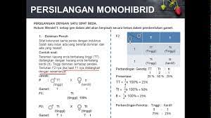 Contoh soal persilangan monohibrid dan dihibrid adalah. Contoh Soal Persilangan Monohibrid Beserta Gambar