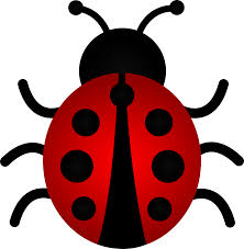Resultats Google Recherche D Images Correspondant A Http Sweetclipart Com Multisite Sweetclipart Files Ladybug Red Png Free Clip Art Clip Art Borders Ladybug