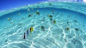 Ocean Laptop Wallpapers Top Free Ocean Laptop Backgrounds Wallpaperaccess Ocean Ocean Wallpaper Ocean Underwater