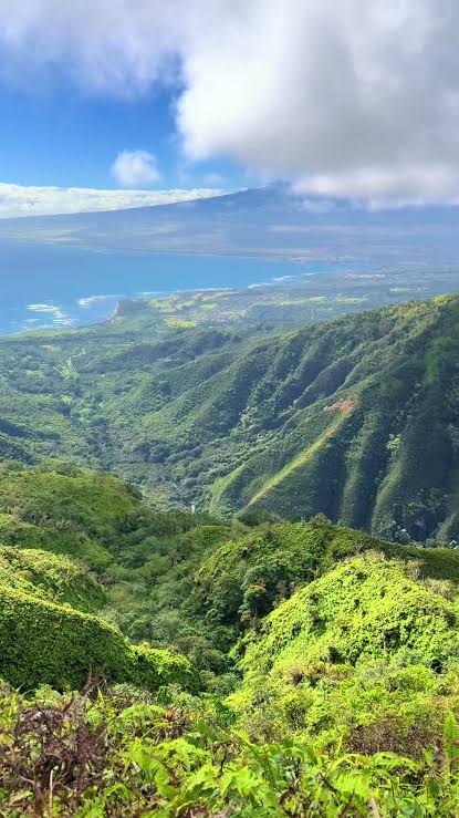 Hawaii aesthetic inspiration ideas