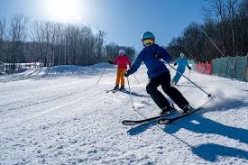 Articles — Ellicottville Now