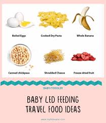 Healthy toddler meal ideas / 11 month old baby food recipes welcome back you guys! Baby Led Feeding Travel Food Ideas My Little Eater Feel Confident Raising Healthy Little Eaters