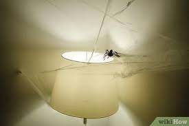 In general (tips, very usefull information). How To Put Up Fake Spider Webs 13 Steps With Pictures Wikihow