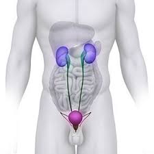 Pin On Reproductive Health