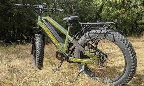 Il vous apporte confort pour votre plus grand plaisir. Stalker Mad Bike Carnivore Le Velo Electrique Tout Terrain Le Plus Puissant Au Monde Neozone
