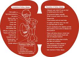 Pin By Jennifer Hoang On Health Fitness And Nutrition Kidney Disease Symptoms Kidney Disease Renal Disease