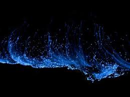 Good night from hathaa beach maldives. Glowing Blue Tide At Night In Vaadhoo Maldives Places To See In Your Lifetime