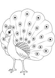 Pfau Malvorlage Coloring And Malvorlagan