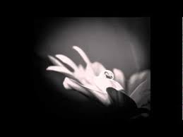 Youtube Raccolta Musicale Parole Di Saggezza Spiritualita