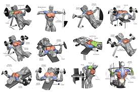 Basic Chest Workout Amtworkout Co