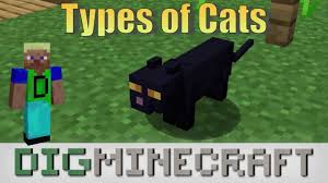 When how to eat food in minecraft. Cat In Minecraft