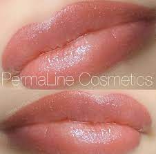 Permanent Make Up Lip Blush Ombre Lips Permanent Lips Lip Tattoo Permanent Makeup Training Permanent Makeup Lips Permanent Makeup