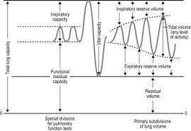 Exercise Physiology And Training Principles Musculoskeletal Key