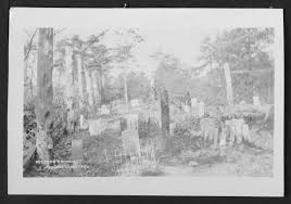 Griffith's death certificate was filed thursday with the vital records office in dare county. Dr Buckingham S Pet Cemeteries Pet Cemetery Stories