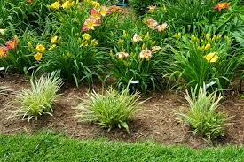Next, select and buy flowers from a garden store or nursery. Mulch Home Garden Information Center