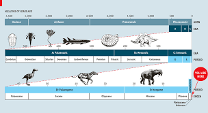 What Is The Anthropocene And Why Does It Matter World