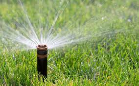 These versatile lawn sprinklers can be used as a fun sprinkler set for children to play and cool down in on hot and sunny days. Lawn And Garden Techniques That Conserve Water
