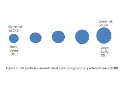 The Blood Triglyceride Hdl Ratio And Ldl Particle Size