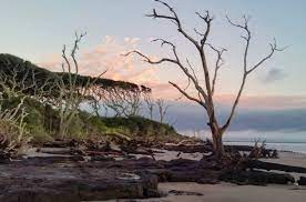 «boneyard beach 6/21/2020 @megan_roper and i went up north 'splorin. Explore Big Talbot Island State Park And Boneyard Beach