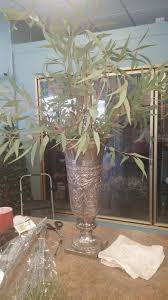 Dundee florist is located at 675 north 50th st. Melrose Floral 8414 Wirt St Omaha Ne 68134 Usa