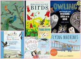 Birds Of Cape Cod Book Reviews Of Books About Flying Things Birds Planes More Happy Spring Toco Toucan Types Of Feathers