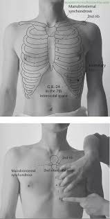 I can tell especially when i'm laying on my back. Chest Bone Rib Cage Landmark Diagram