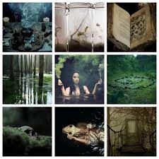 When you think of a swamp witch, you're probably imagining a . From The Sea To The Stars Swamp Witch