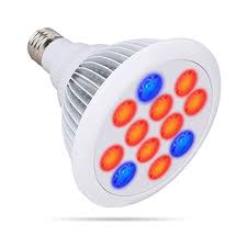 We did not find results for: Led Grow Light Growstar E27 Led Grow Plant Light Growing Bulbs For Indoor Plants Garden Greenhouse And Hydroponic Aquatic 12w White Buy Online In Paraguay At Desertcart Com Py Productid 28056275
