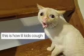 We Need To Talk About This Coughing Cat Meme Because It Has Truly Ruined Me Catmemes Cat Memes Cat And Dog Videos Funny Cats And Dogs
